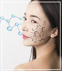 zoty中欧·(中国有限公司)官方网站