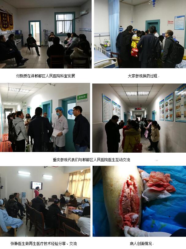 zoty中欧·(中国有限公司)官方网站