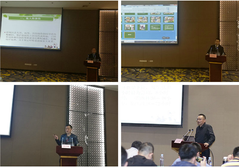 zoty中欧·(中国有限公司)官方网站