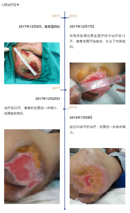 zoty中欧·(中国有限公司)官方网站