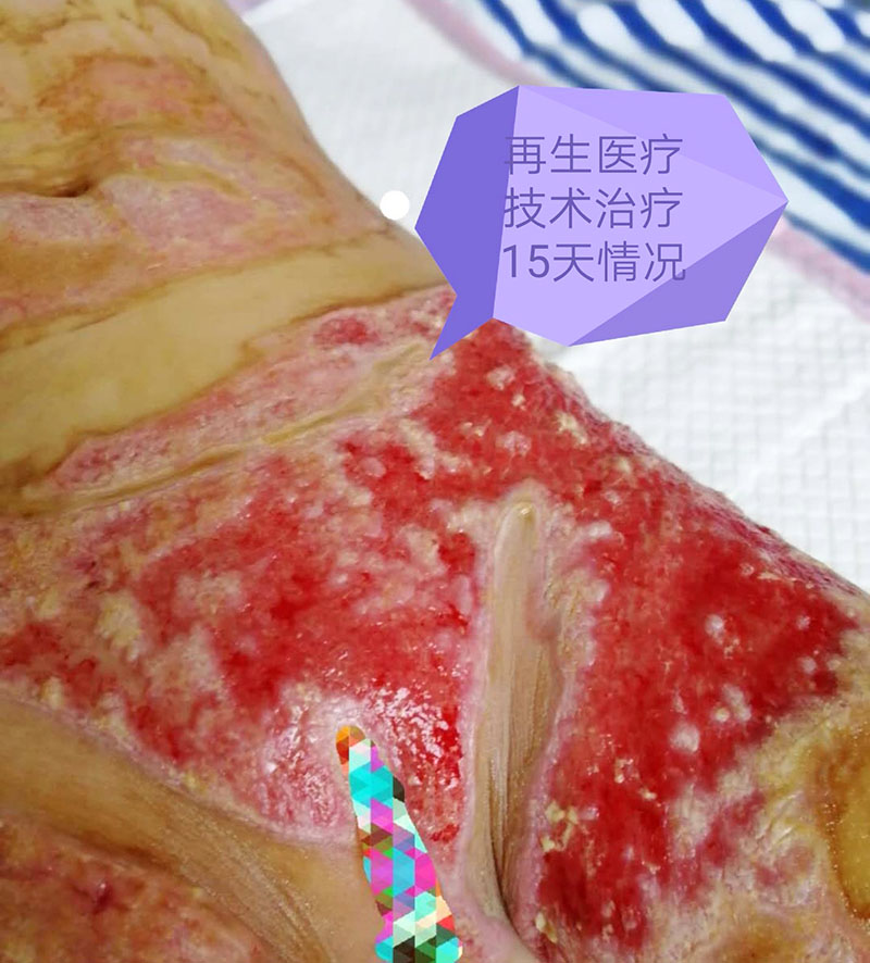 zoty中欧·(中国有限公司)官方网站