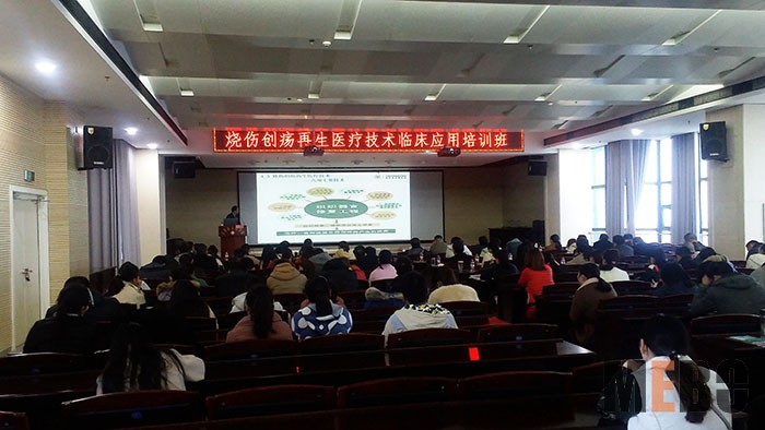 zoty中欧·(中国有限公司)官方网站