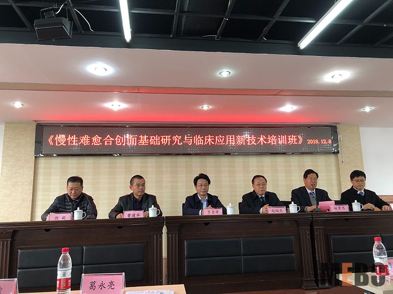 zoty中欧·(中国有限公司)官方网站