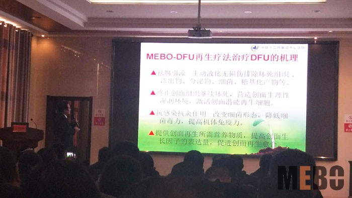 zoty中欧·(中国有限公司)官方网站