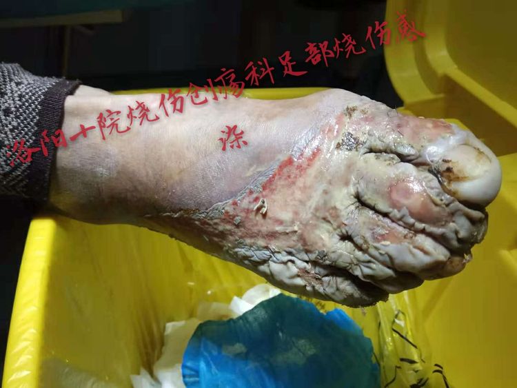 zoty中欧·(中国有限公司)官方网站