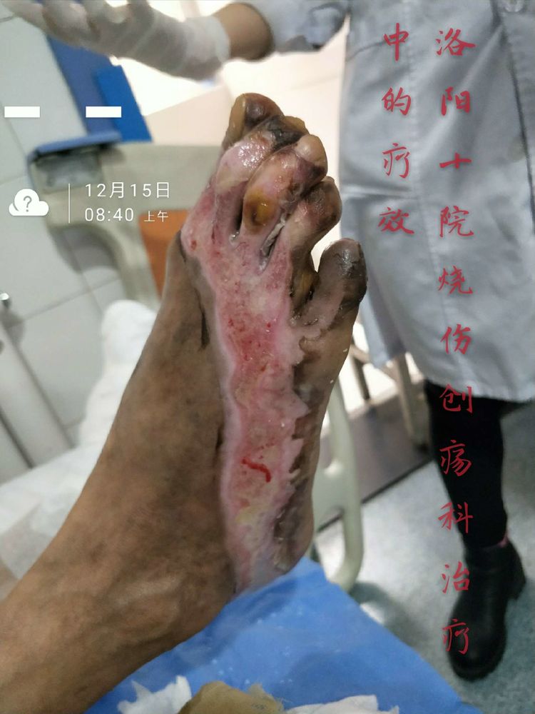 zoty中欧·(中国有限公司)官方网站