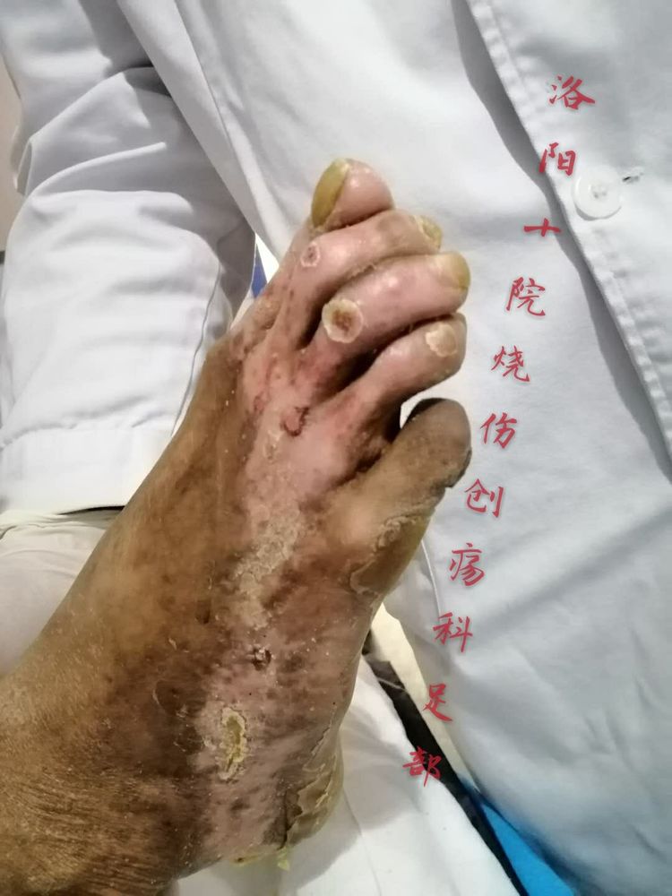 zoty中欧·(中国有限公司)官方网站