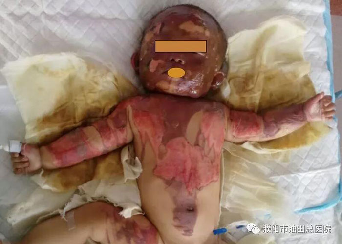 zoty中欧·(中国有限公司)官方网站