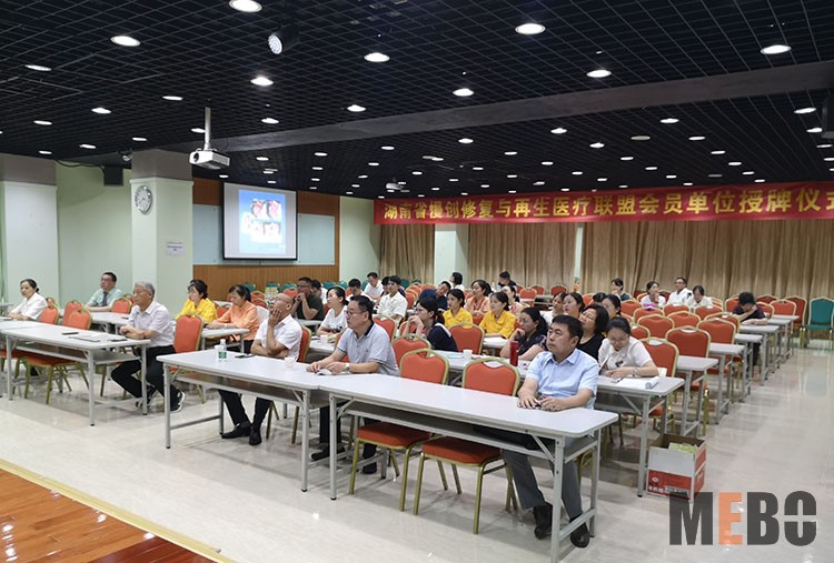zoty中欧·(中国有限公司)官方网站