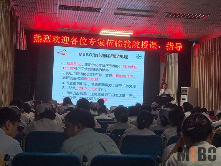 zoty中欧·(中国有限公司)官方网站