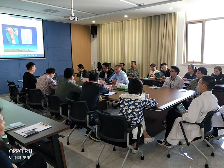 zoty中欧·(中国有限公司)官方网站