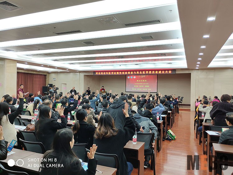 zoty中欧·(中国有限公司)官方网站
