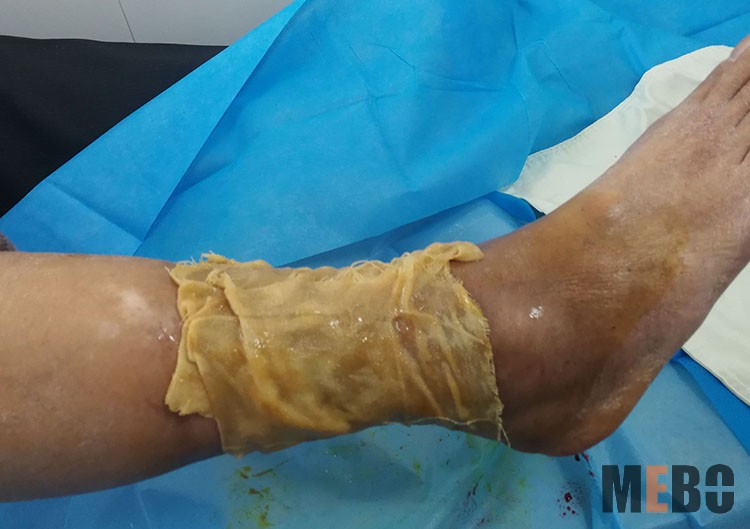 zoty中欧·(中国有限公司)官方网站