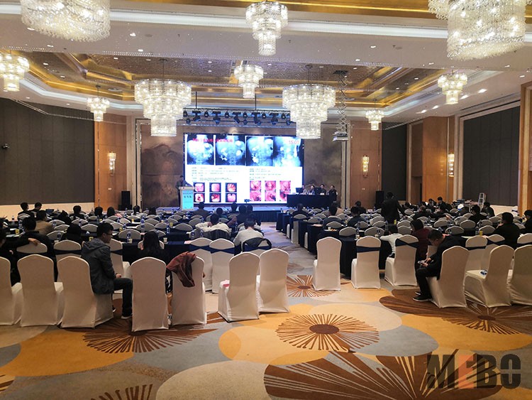 zoty中欧·(中国有限公司)官方网站