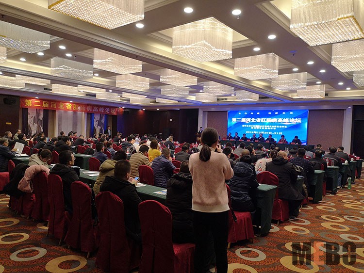 zoty中欧·(中国有限公司)官方网站