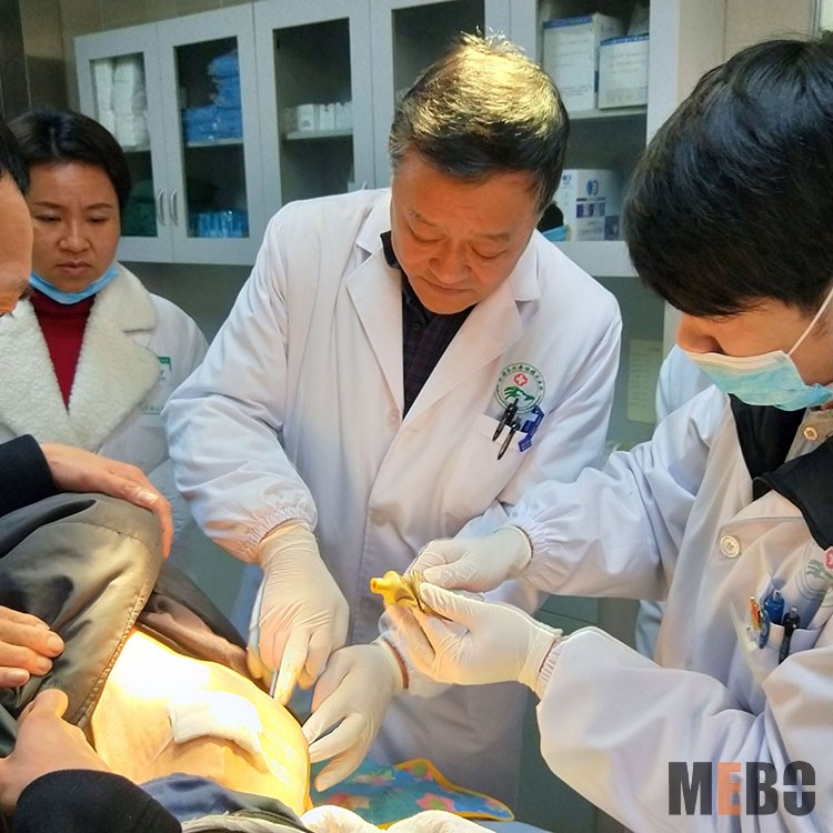 zoty中欧·(中国有限公司)官方网站