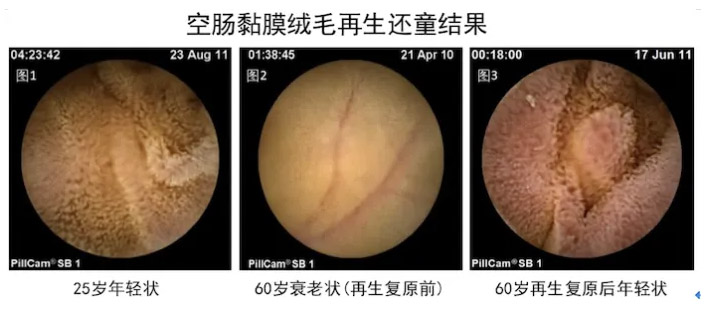 zoty中欧·(中国有限公司)官方网站