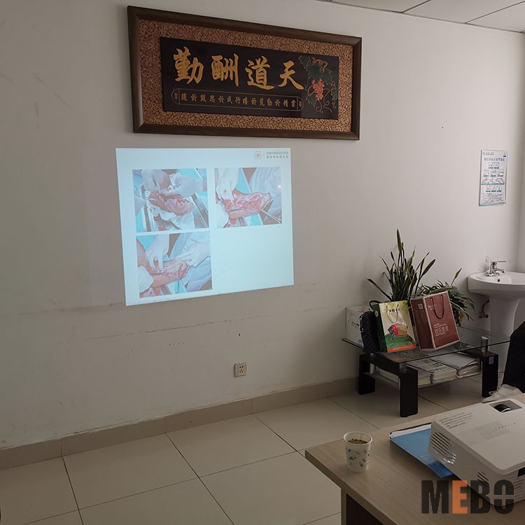 zoty中欧·(中国有限公司)官方网站