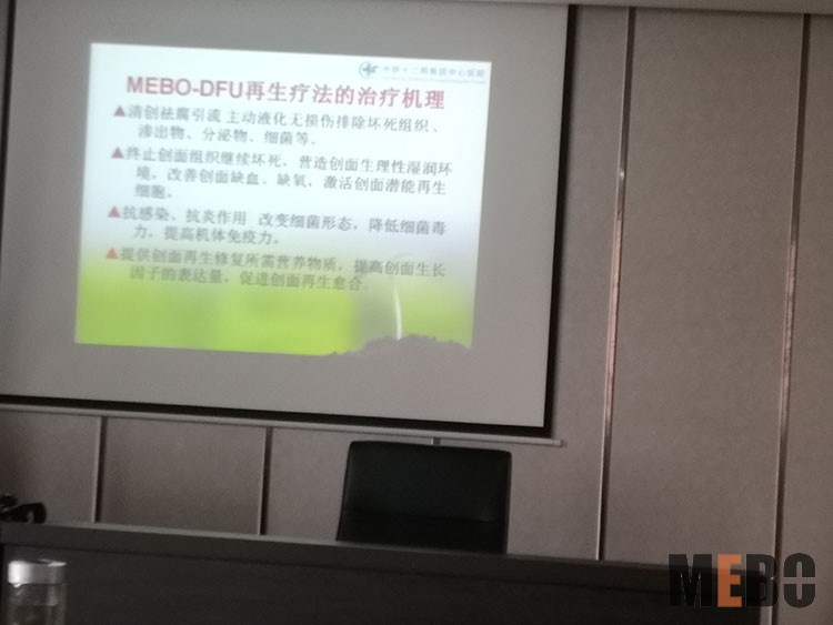 zoty中欧·(中国有限公司)官方网站