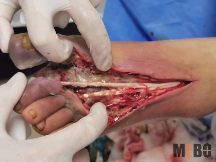 zoty中欧·(中国有限公司)官方网站