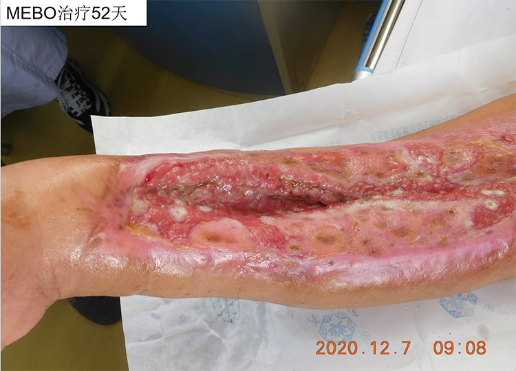 zoty中欧·(中国有限公司)官方网站