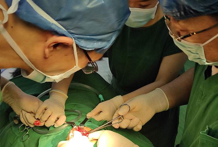 zoty中欧·(中国有限公司)官方网站