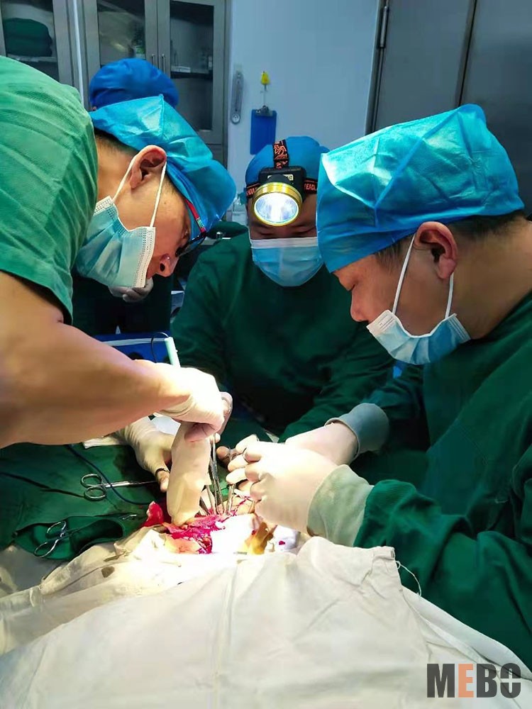 zoty中欧·(中国有限公司)官方网站