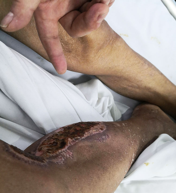 zoty中欧·(中国有限公司)官方网站