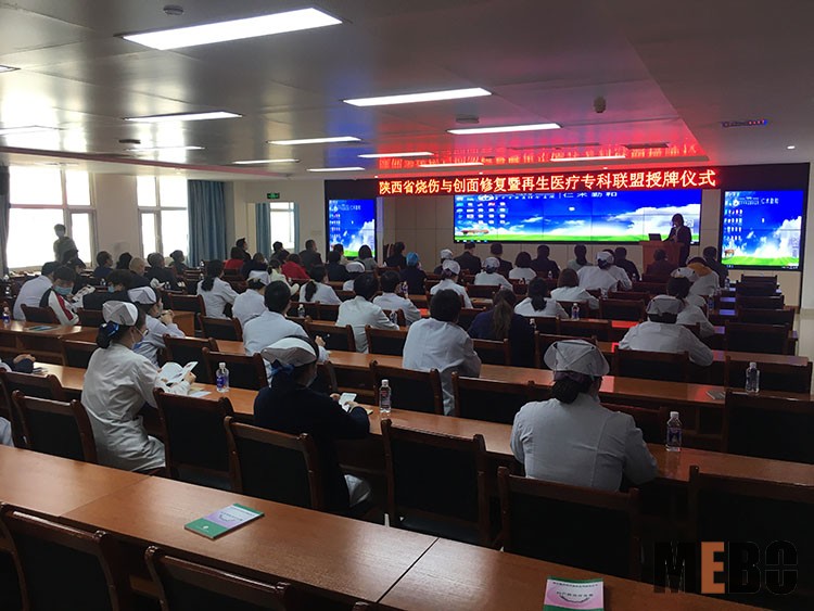 zoty中欧·(中国有限公司)官方网站