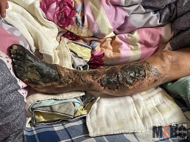 zoty中欧·(中国有限公司)官方网站