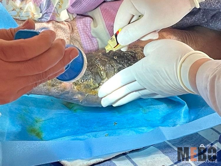 zoty中欧·(中国有限公司)官方网站