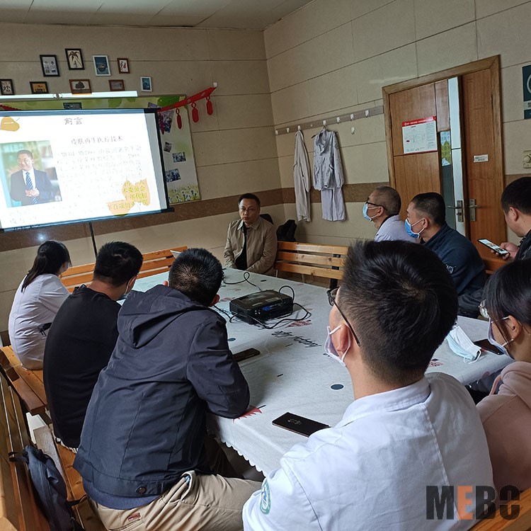 zoty中欧·(中国有限公司)官方网站