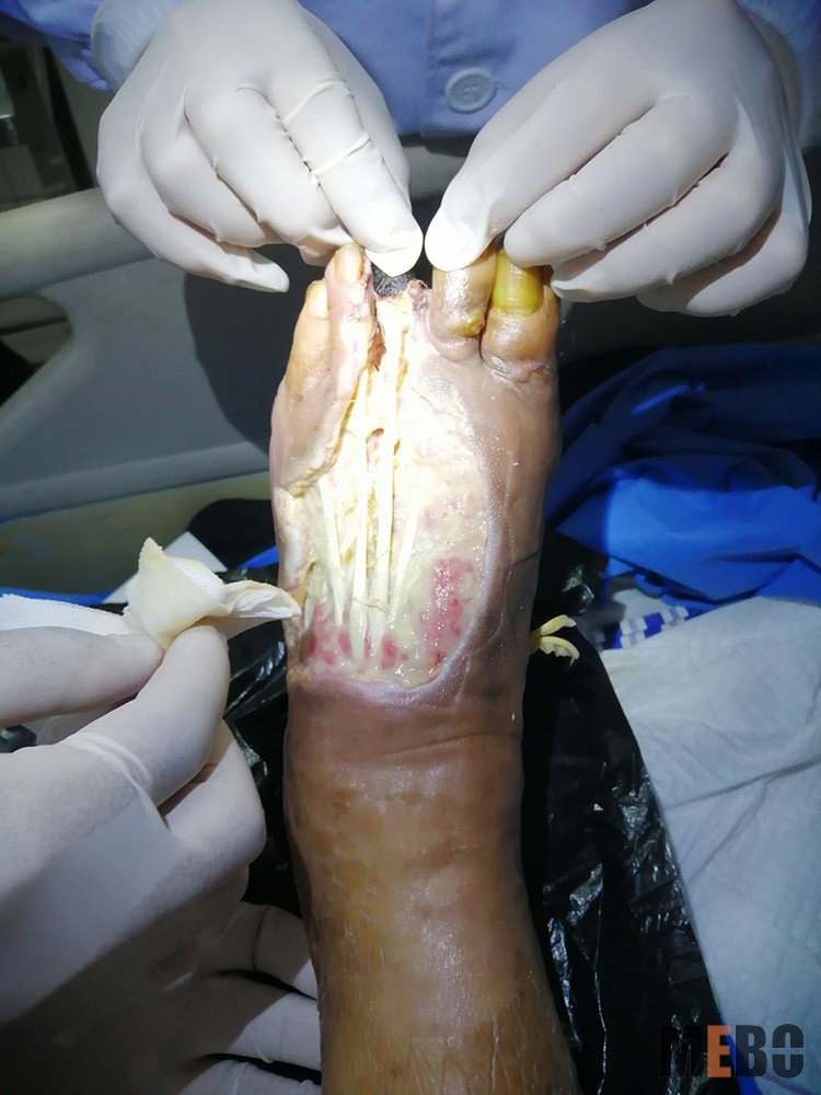 zoty中欧·(中国有限公司)官方网站