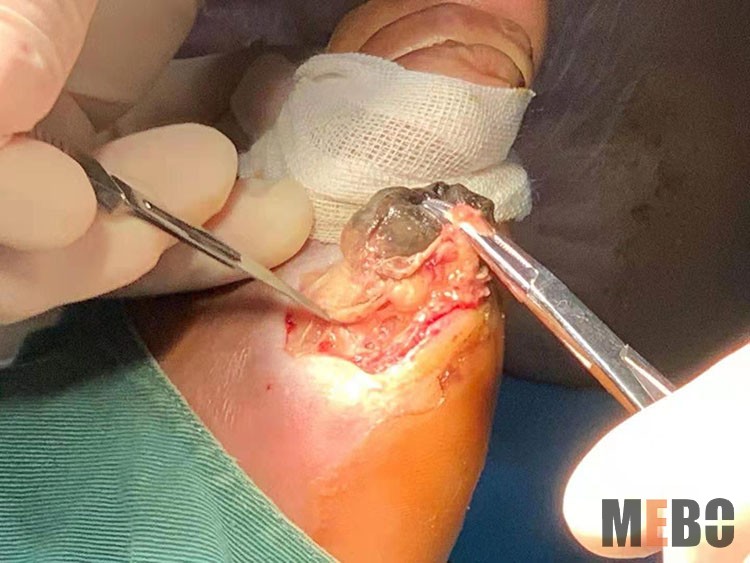 zoty中欧·(中国有限公司)官方网站