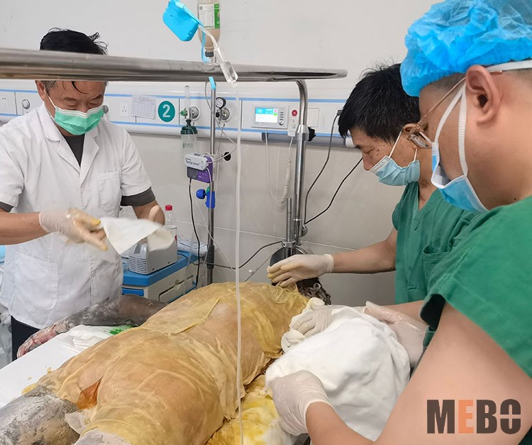 zoty中欧·(中国有限公司)官方网站