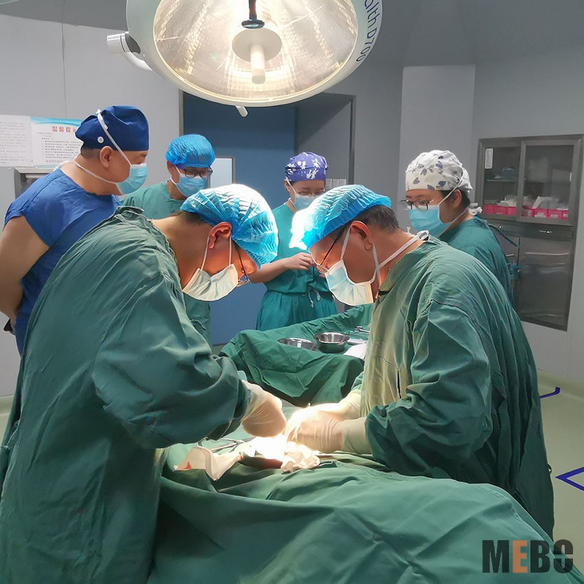 zoty中欧·(中国有限公司)官方网站