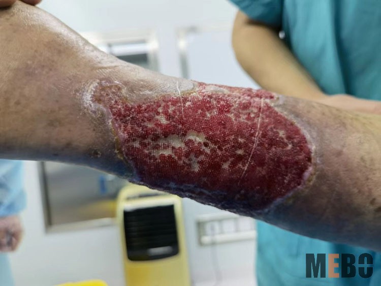 zoty中欧·(中国有限公司)官方网站