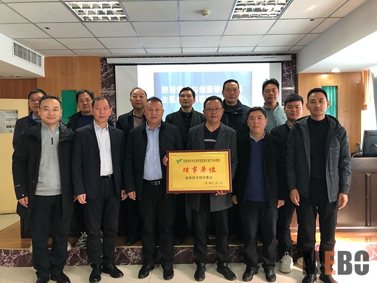 zoty中欧·(中国有限公司)官方网站