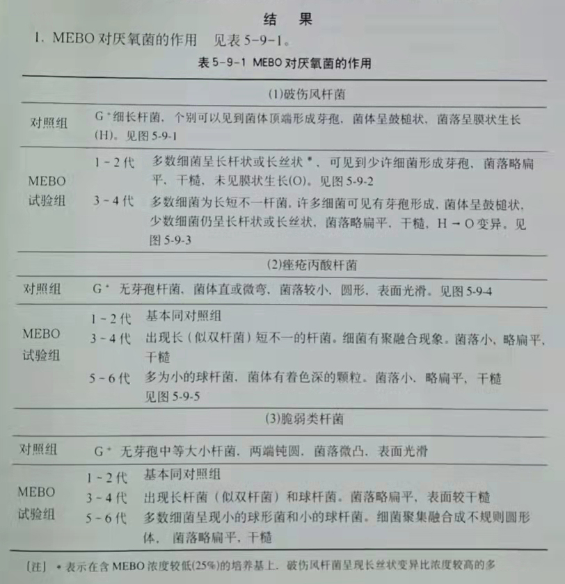 zoty中欧·(中国有限公司)官方网站