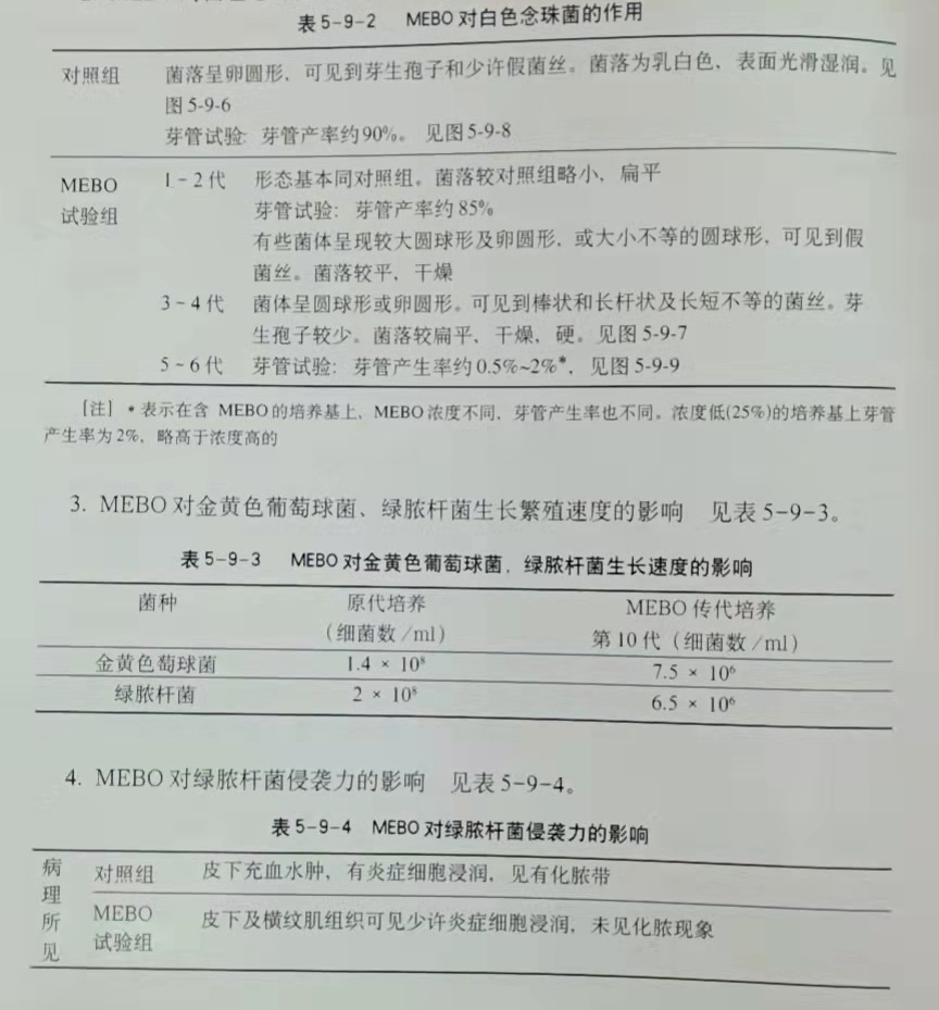 zoty中欧·(中国有限公司)官方网站