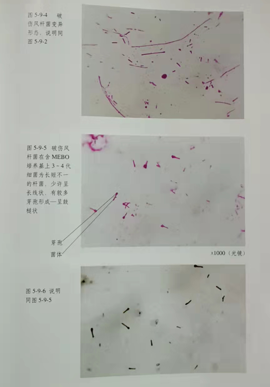 zoty中欧·(中国有限公司)官方网站