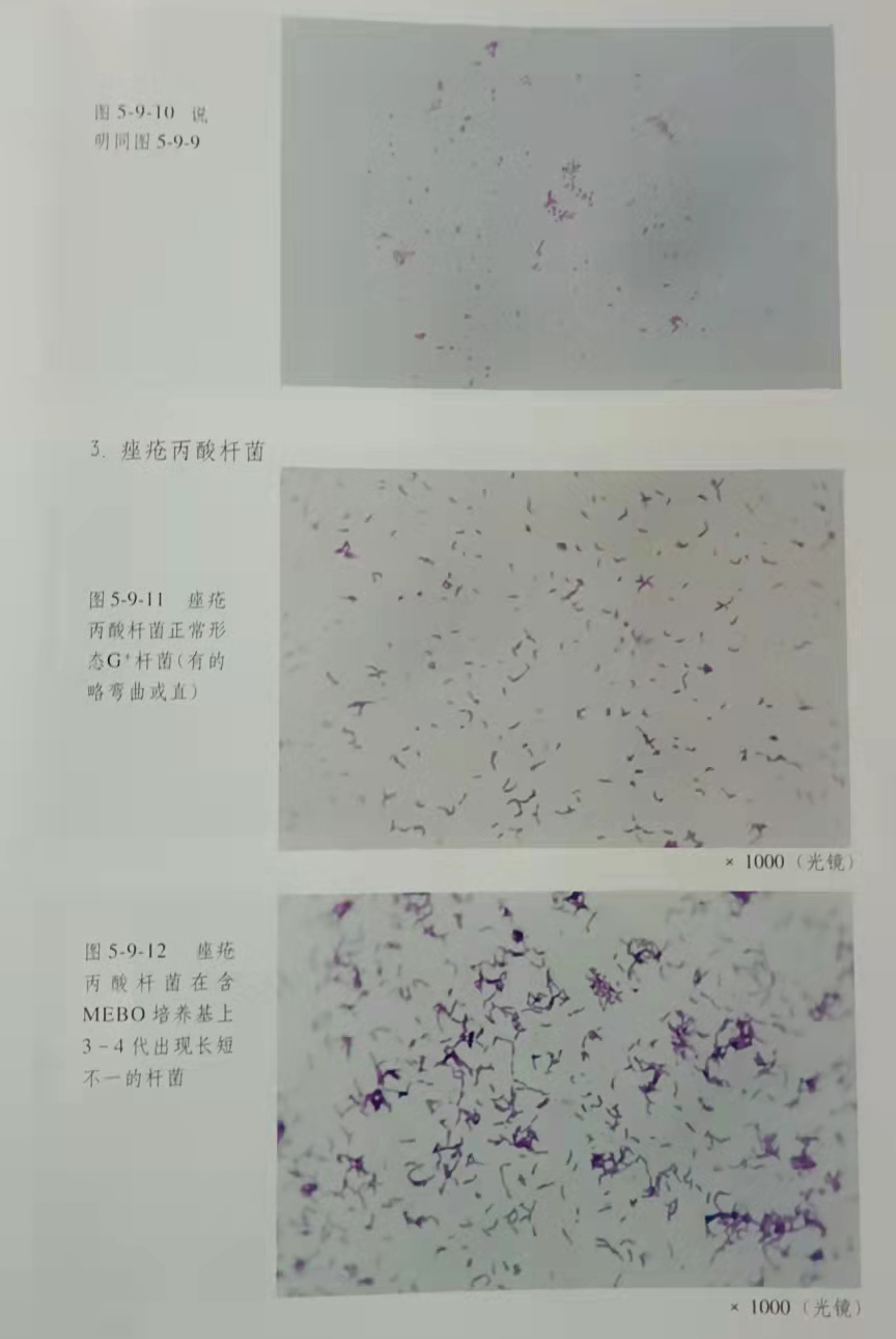 zoty中欧·(中国有限公司)官方网站