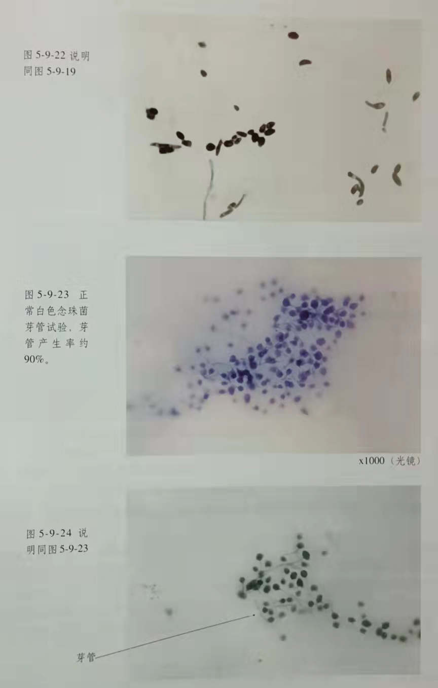 zoty中欧·(中国有限公司)官方网站