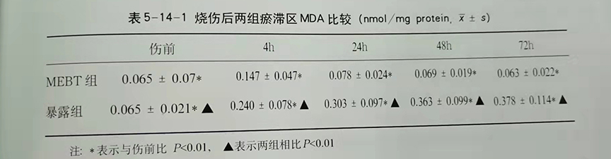 zoty中欧·(中国有限公司)官方网站