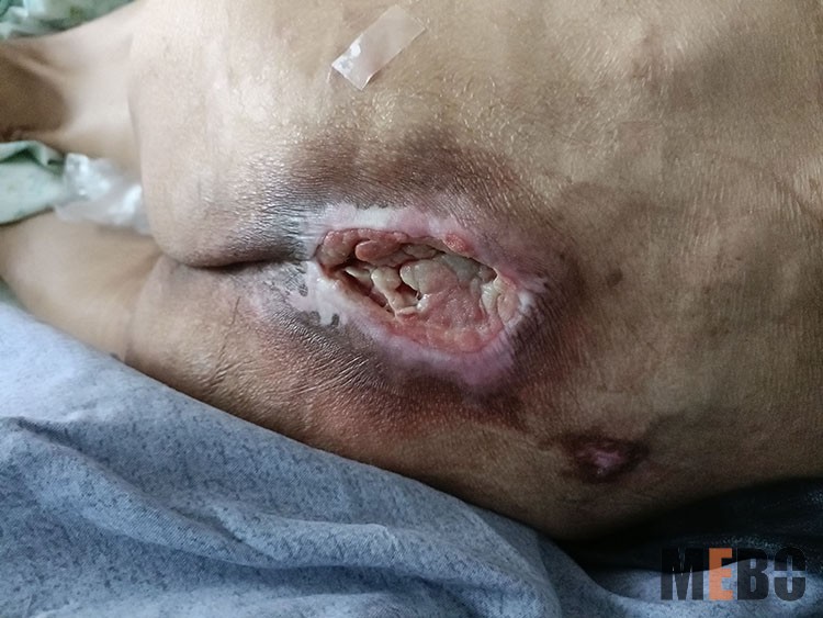 zoty中欧·(中国有限公司)官方网站