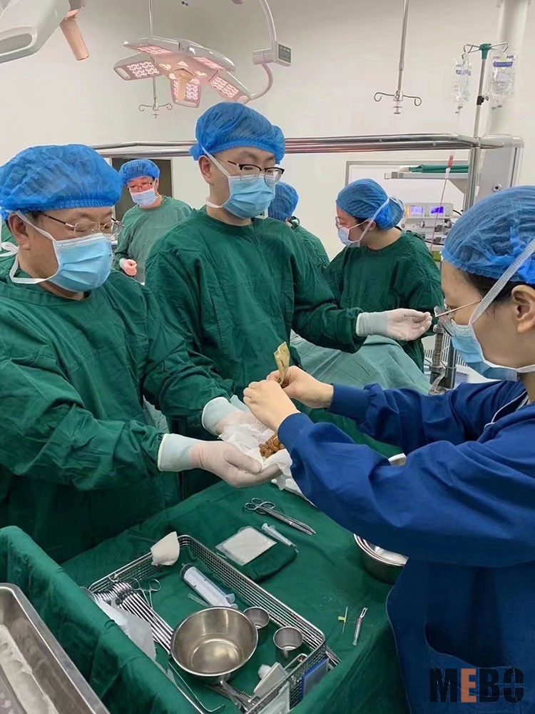 zoty中欧·(中国有限公司)官方网站