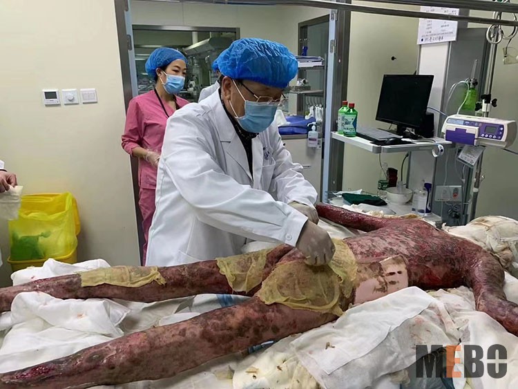 zoty中欧·(中国有限公司)官方网站