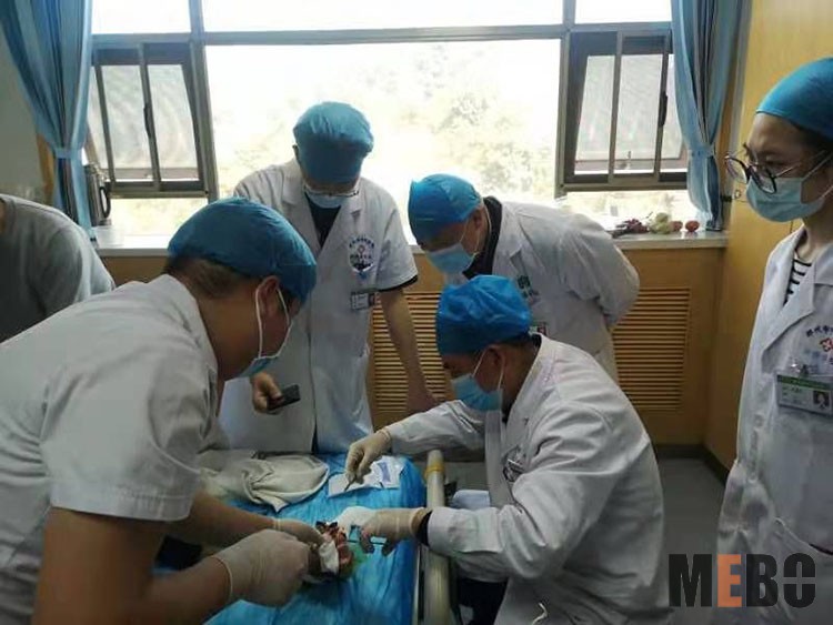 zoty中欧·(中国有限公司)官方网站