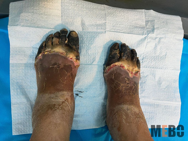 zoty中欧·(中国有限公司)官方网站