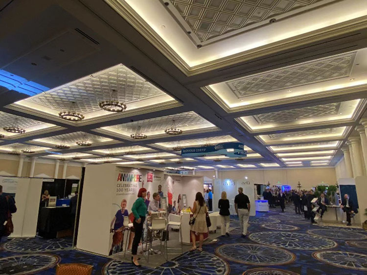 zoty中欧·(中国有限公司)官方网站